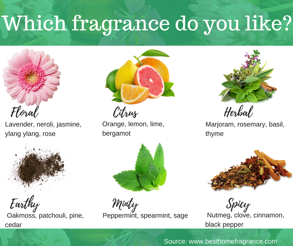 Best essential oil blends and fragrances